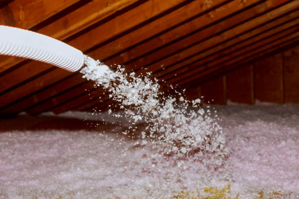 Best Spray Foam Insulation in Bement, IL