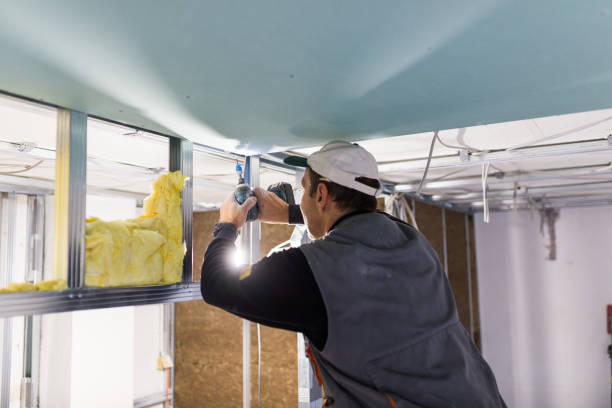 Best Commercial Insulation in Bement, IL