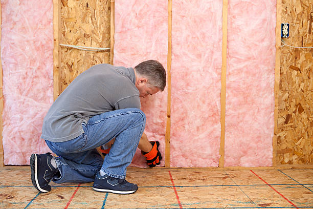 Best Geographic-Specific Insulation Services in Bement, IL